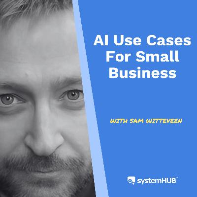 AI Use Cases For Small Business with Sam Witteveen