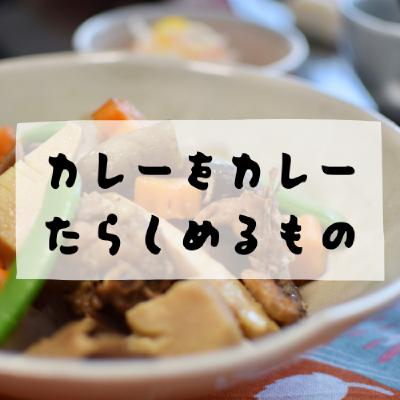 #169 - カレーをカレーたらしめるもの