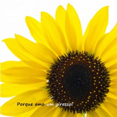 1. Teu sorriso... 1. Teu sorriso...