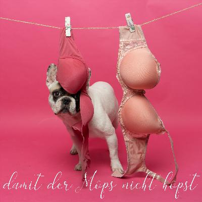 009 Kann das funktionieren? - Onlineberatung