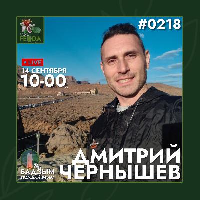 Дмитрий Чернышев – Язык как ключ к миру
