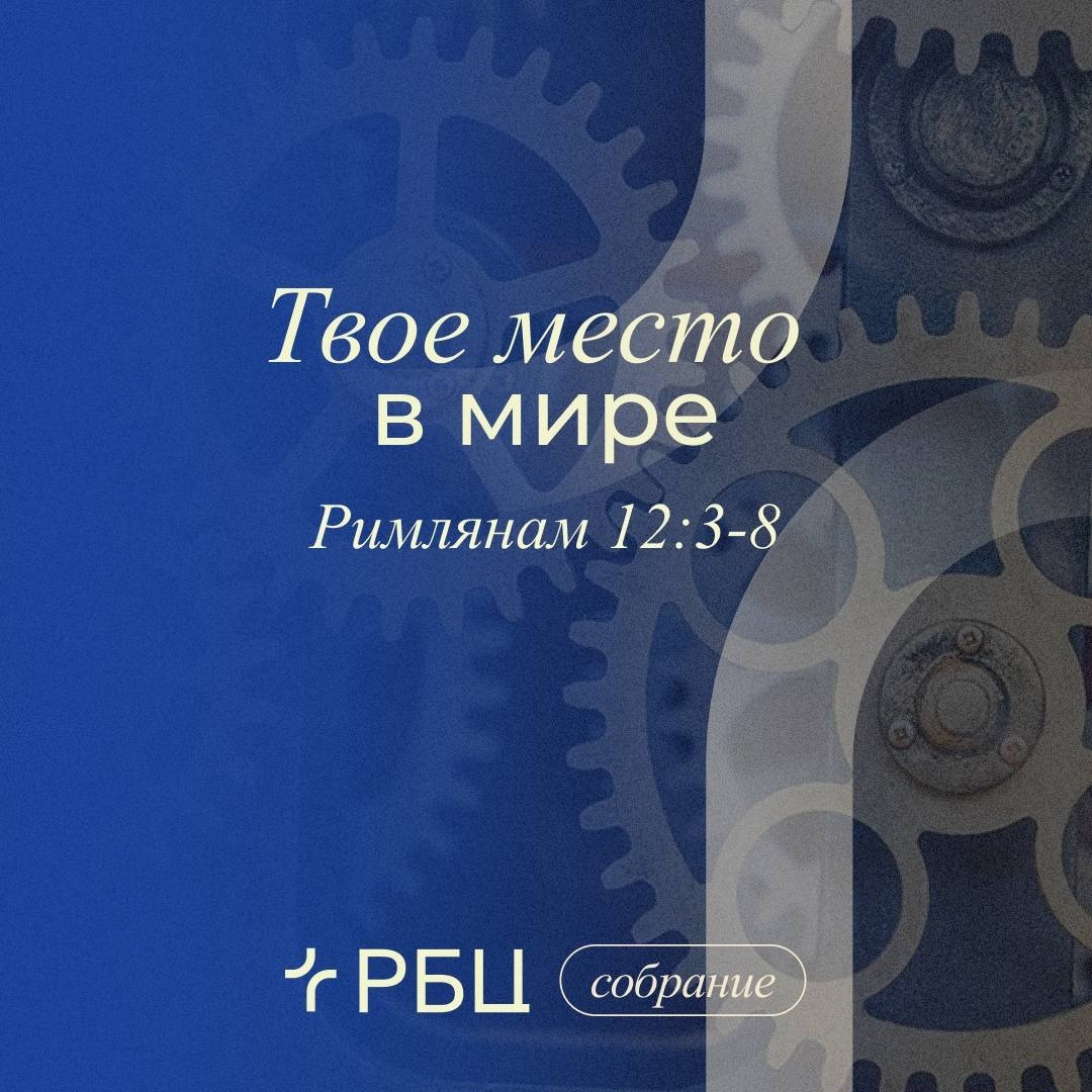 Твое место в мире episode artwork
