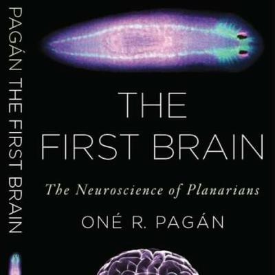 The Baldscientist Podcast - Episode 025 – The 10th Anniversary of the Publication of The First Brain
