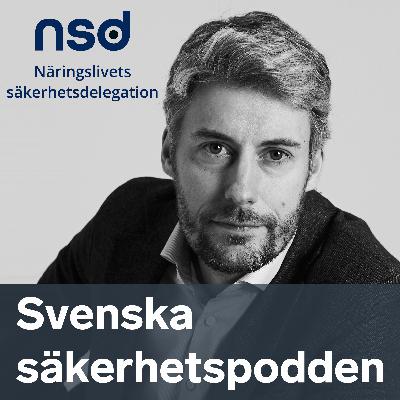 Hur ser en internationell säkerhetsexpert på Sverige?