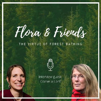 A journey into the woods - The virtue of forest bathing - Guest: Cornelia Lohf