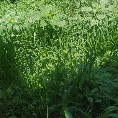 La visión de un ministerio Pt.2 La visión de un ministerio Pt.2