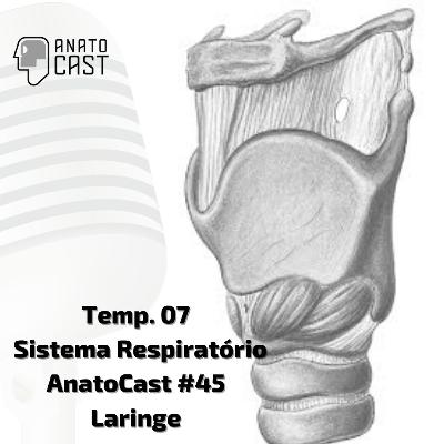 AnatoCast #45 - Laringe - Temp. 07 - Sist. Respiratório AnatoCast #45 - Laringe - Temp. 07 - Sist. Respiratório