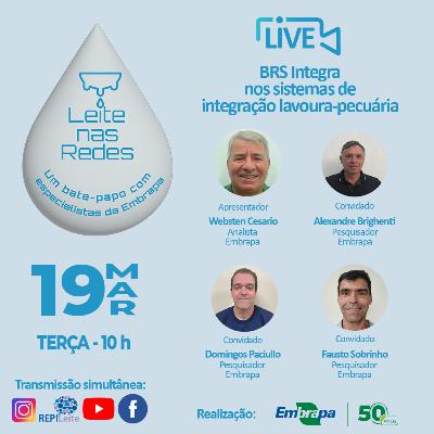 Leite nas Redes: BRS Integra nos sistemas de integração lavoura-pecuária