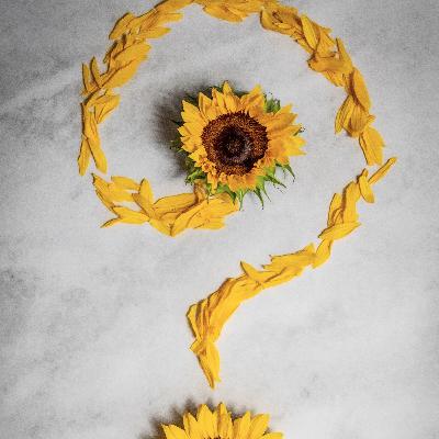 Para quê?! de Florbela Espanca