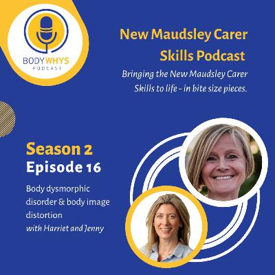 NMCS: S2E16: Body dysmorphic disorder and body image distortion