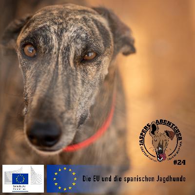 Die EU und die spanischen Jagdhunde