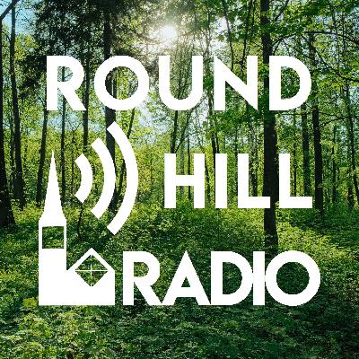 The Lord Needs It: Control, Chaos, and the Hidden Meanings of Palm Sunday The Lord Needs It: Control, Chaos, and the Hidden Meanings of Palm Sunday