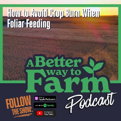 316: How to Avoid Crop Burn When Foliar Feeding 316: How to Avoid Crop Burn When Foliar Feeding