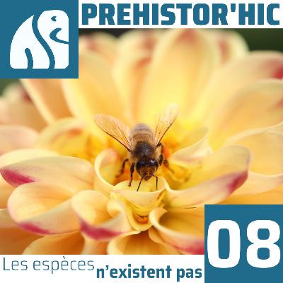 Les espèces n’existent pas