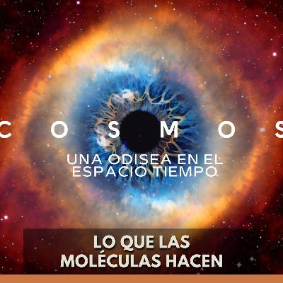 Cosmos: Una Odisea en el Espacio Tiempo - Lo que las Moléculas Hacen Cosmos: Una Odisea en el Espacio Tiempo - Lo que las Moléculas Hacen