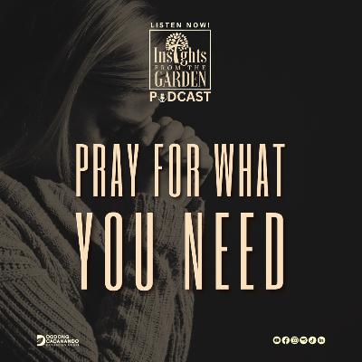 Pray For What You Need Pray For What You Need