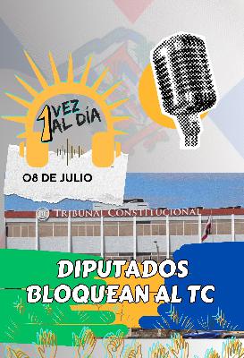 Martes 8 de Julio: Diputados bloquean al Tribunal Constitucional