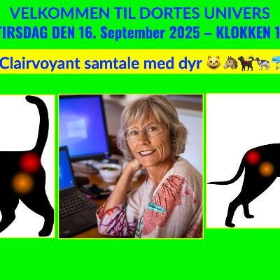 Clairvoyant samtale med dyr.😸🐴🐕🦺🐄🐬 Clairvoyant samtale med dyr.😸🐴🐕🦺🐄🐬
