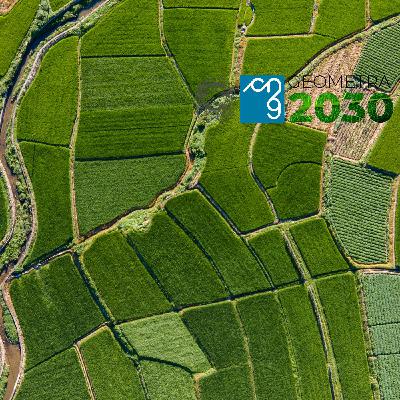 LA RICOMPOSIZIONE FONDIARIA IN ITALIA