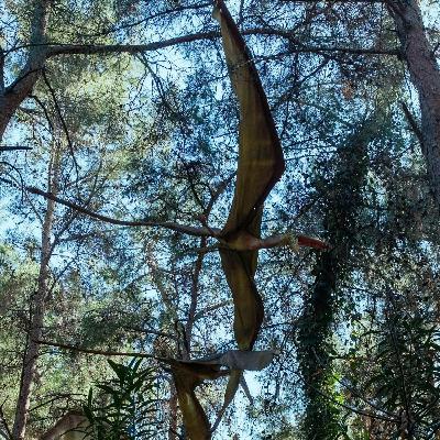 Episode 254 - WarGames: Part Two Episode 254 - WarGames: Part Two