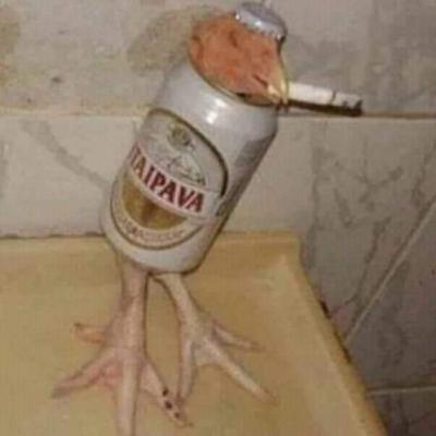 Two Gabes vs one Kylie Two Gabes vs one Kylie