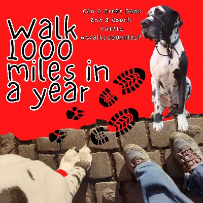 Day 213 – Weekly updates - Walk 1000 Miles in a Year #walk1000miles #WillowWalks1000Miles