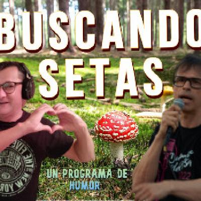 Buscando Setas 23 5T Buscando Setas 23 5T