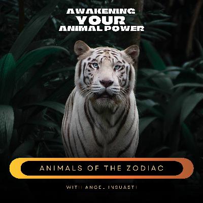 Animals of the Zodiac