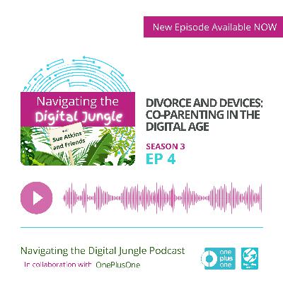 Divorce and Devices: Co-Parenting in the Digital Age