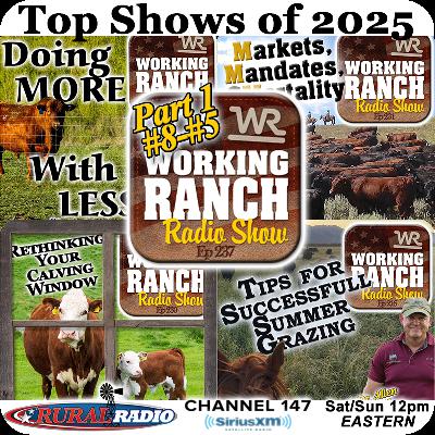 Ep 237: Top Shows of 2025 Part 1: Highlights from #8–#5