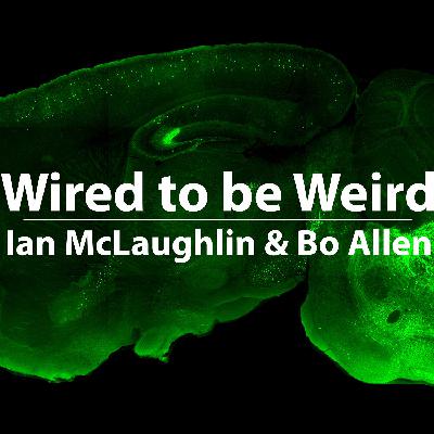 Neuralink - Brain Computer Interfaces (Part 2)