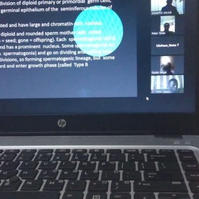 THE FEMALE SEXUAL cycle