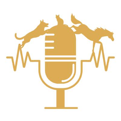 Guérir sa relation à l'argent pour faire décoller son business Guérir sa relation à l'argent pour faire décoller son business