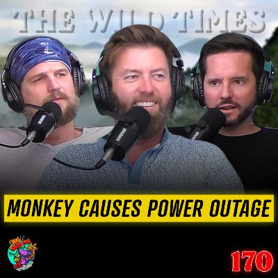 One Monkey Causes Country-Wide Power Outage in Sri Lanka - TWT 170