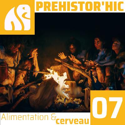 Alimentation & Cerveau