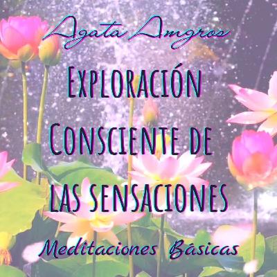 Meditación Exploración Consciente de las Sensaciones @INSPIRA - Agata Amgros