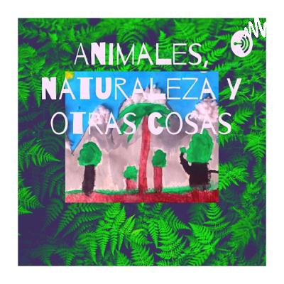 E16 Escorpión - Orangután