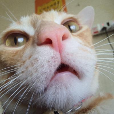 Mera Chota Sa Introduction  (Trailer)