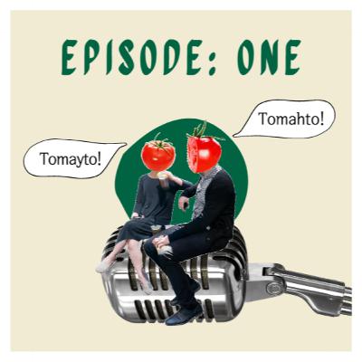 Episode 1: Introduction