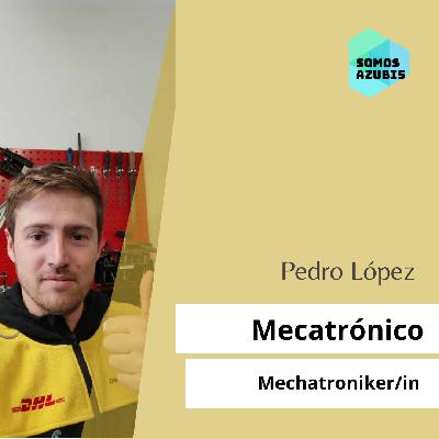 077 Mecatrónico - Mechatroniker/in