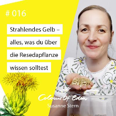 # 016 – Strahlendes G E L B — Alles, was du über die R E S E D A -Ppflanze wissen solltest