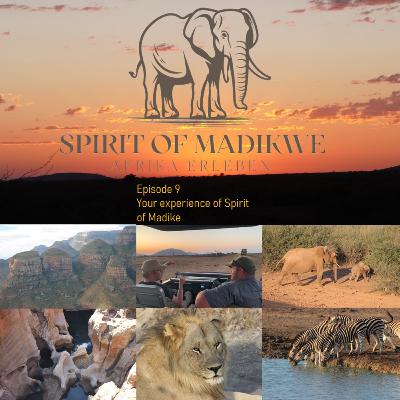 Episode 9 - Experience your Spirit of Madikwe