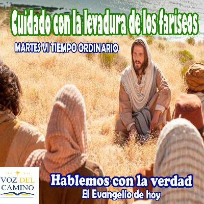 13.FEB.24 MARTES VI T.O. CUIDADO CON LA LEVADURA DE LOS FARISEOS 13.FEB.24 MARTES VI T.O. CUIDADO CON LA LEVADURA DE LOS FARISEOS