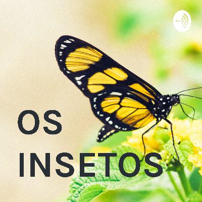 Invertebrados: Artrópodes - Os Insetos.