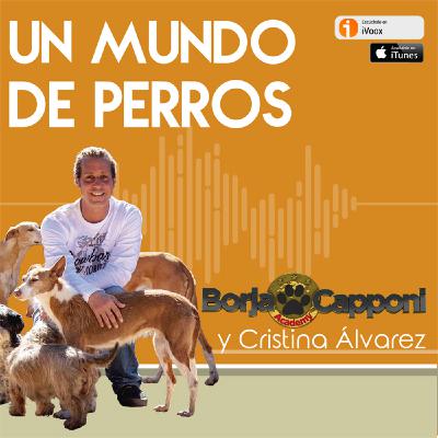 Ansiedad por separación en los perros - Episodio exclusivo para mecenas Ansiedad por separación en los perros - Episodio exclusivo para mecenas