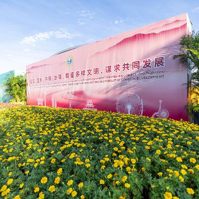 President Xi meets foreign leaders in Tianjin