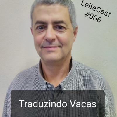 #006 Traduzindo Vacas | Com Marcelo Cecim