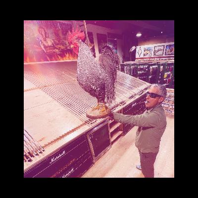 “Getting Kicked in the Balls on the North Coast”…..Pt2