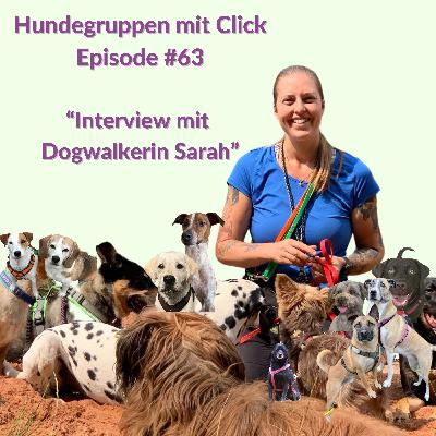Interview mit Dogwalkerin Sarah Interview mit Dogwalkerin Sarah