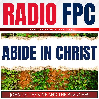 John: What It Means To Abide In Christ